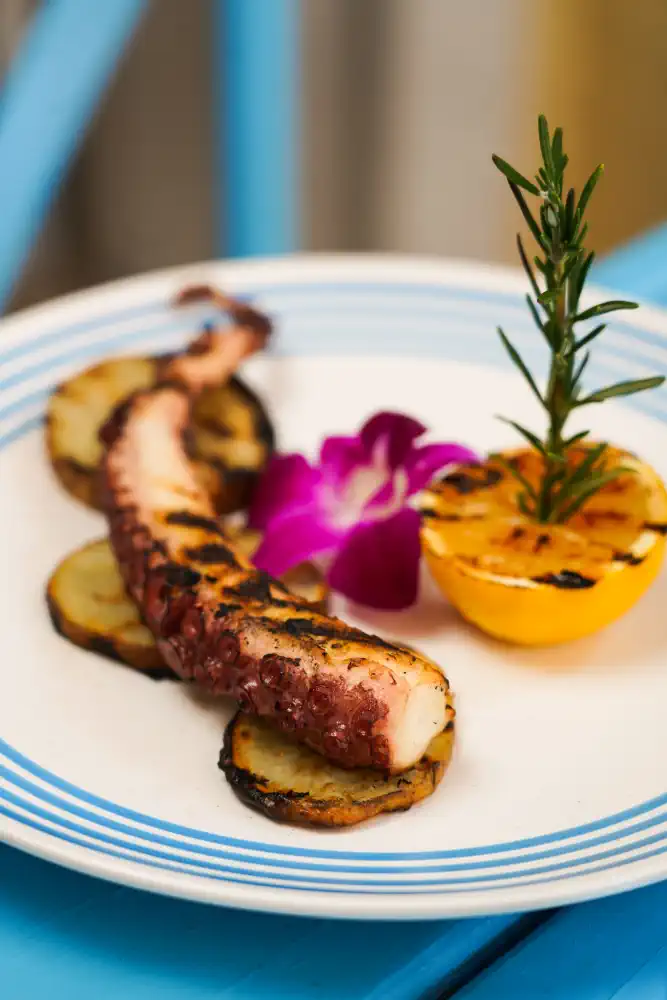 Best Grilled Octopus with mediterranean style in Miami Beach